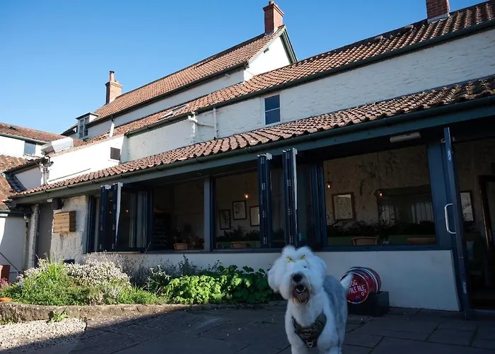 Hotel The George At Backwell